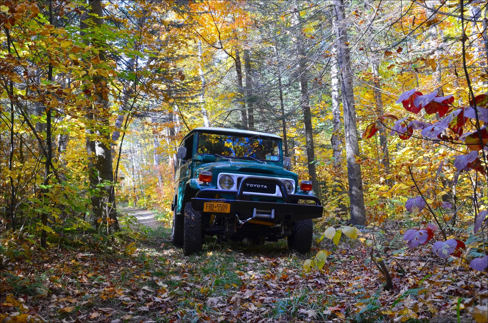 DSC_0030.jpg