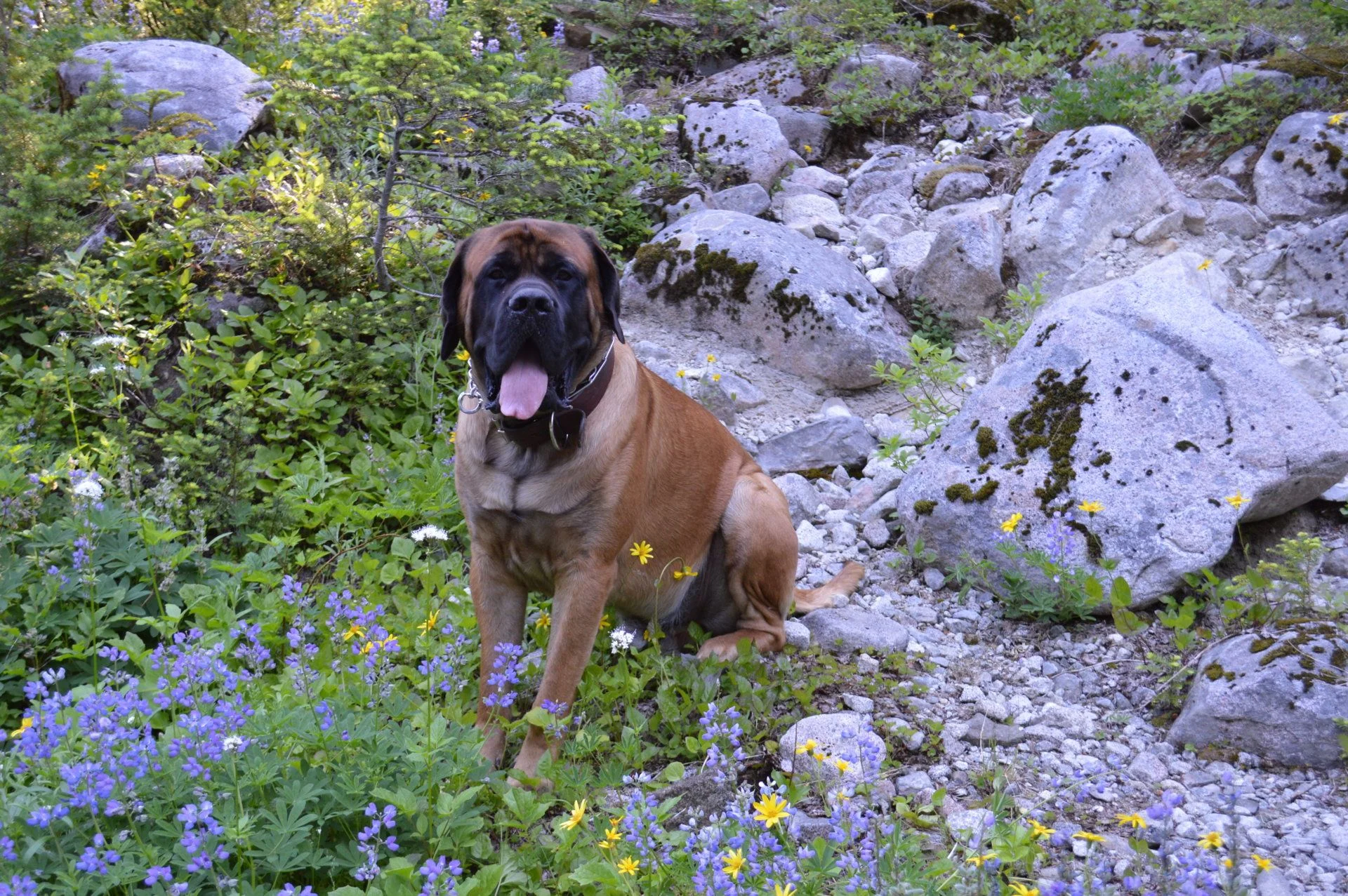 DSC_0036.JPG