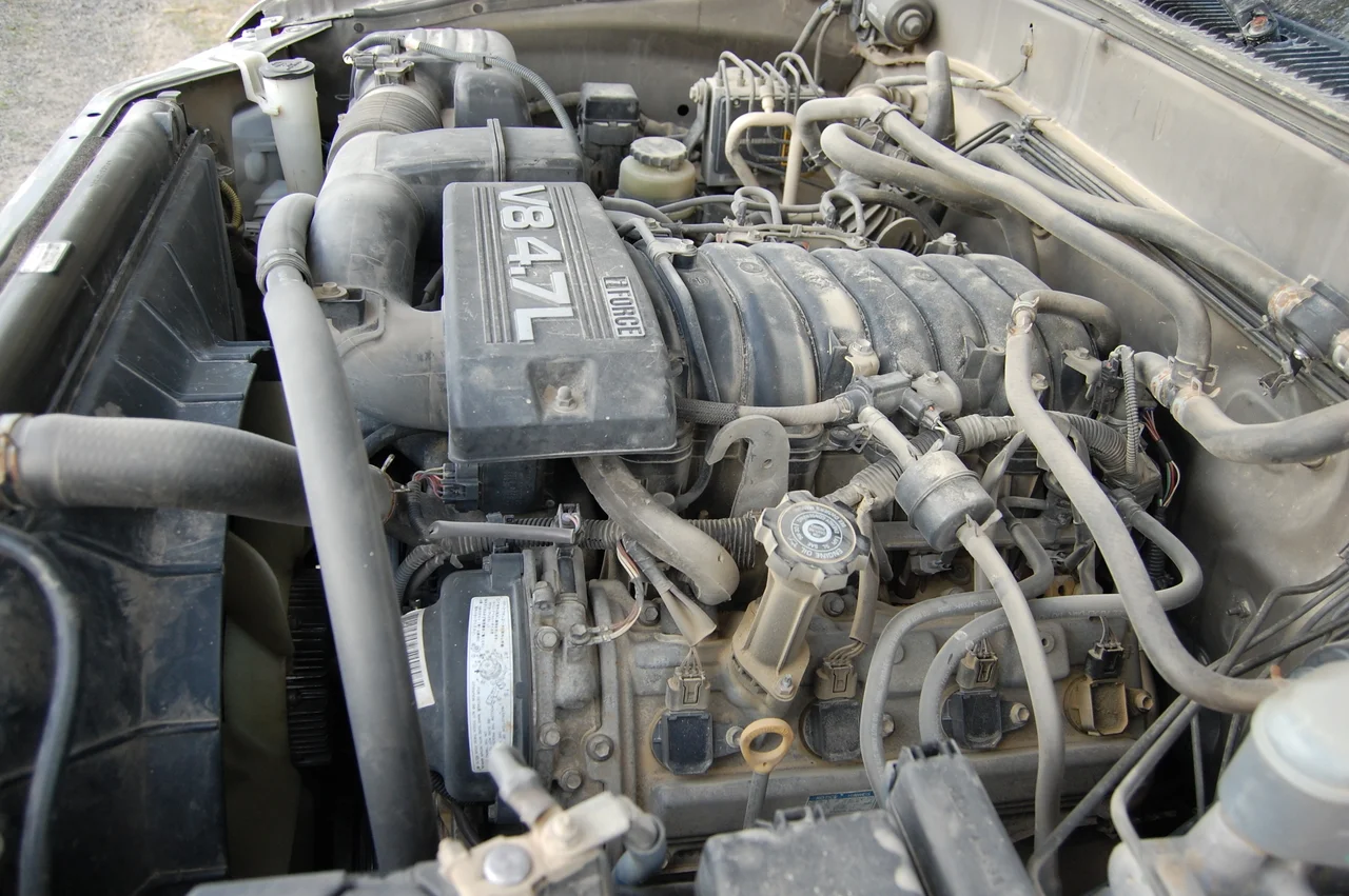 DSC_0039.webp