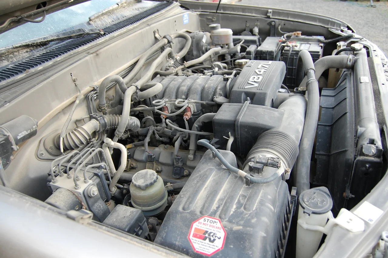DSC_0040.webp