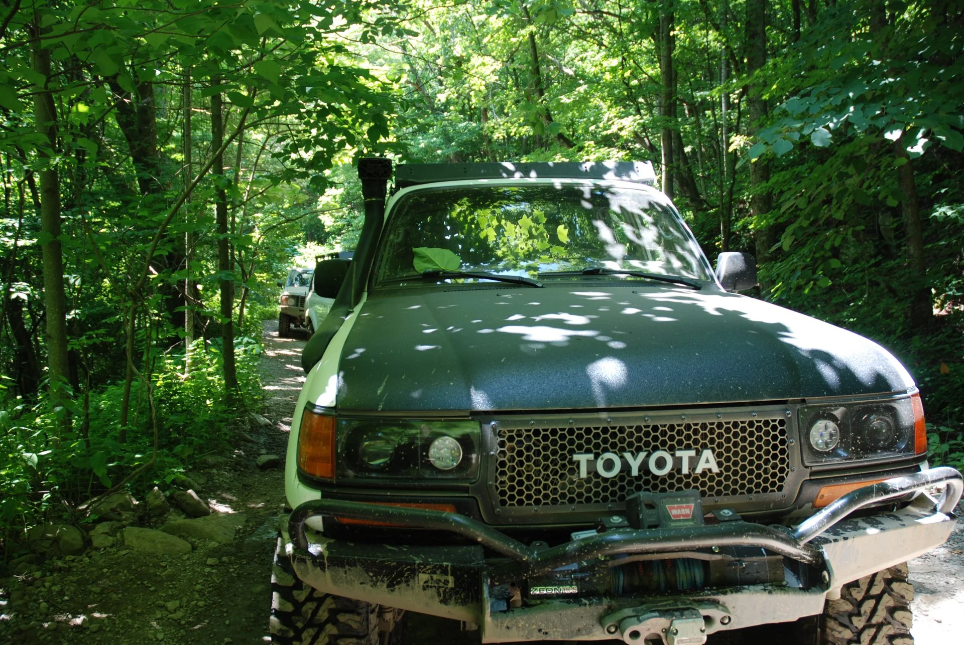 DSC_0046.webp