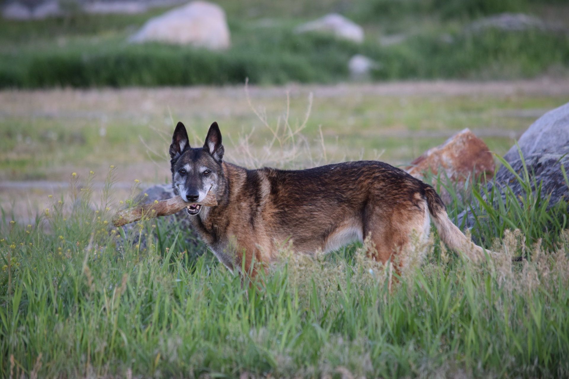 DSC_0061.JPG