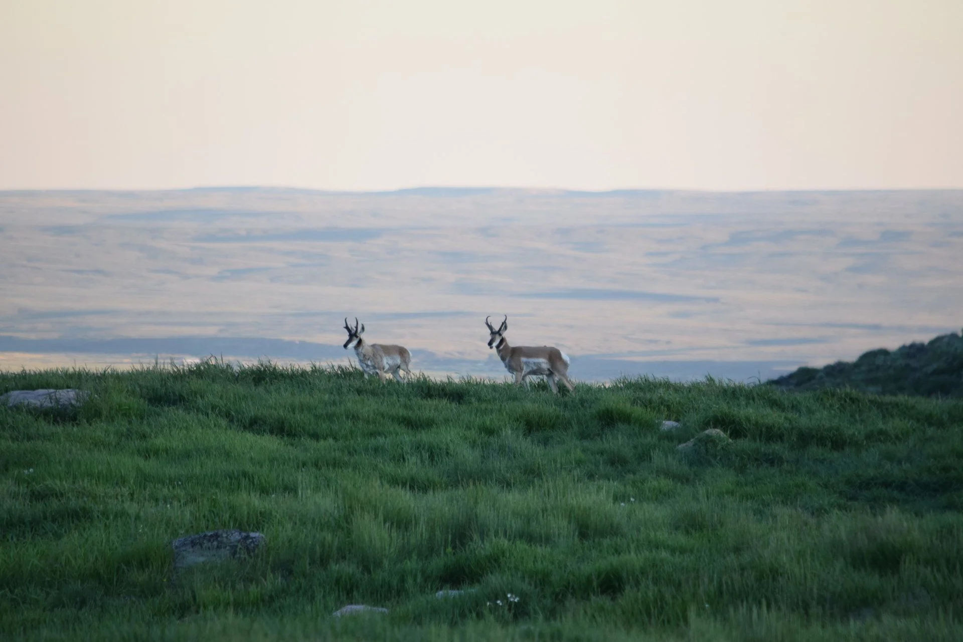 DSC_0065.webp