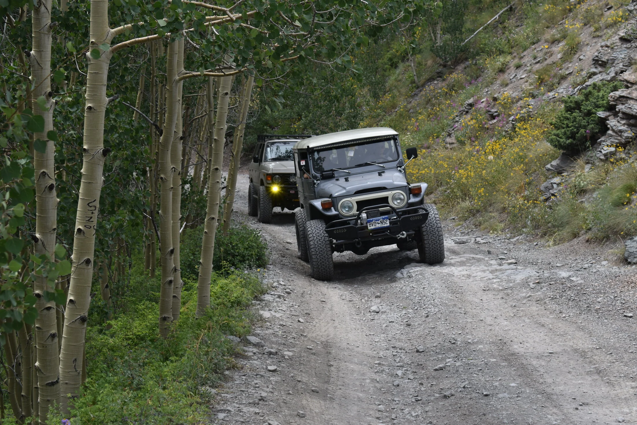 DSC_0074.jpg