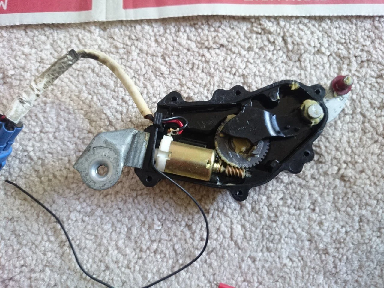 DSC_0138_small.webp