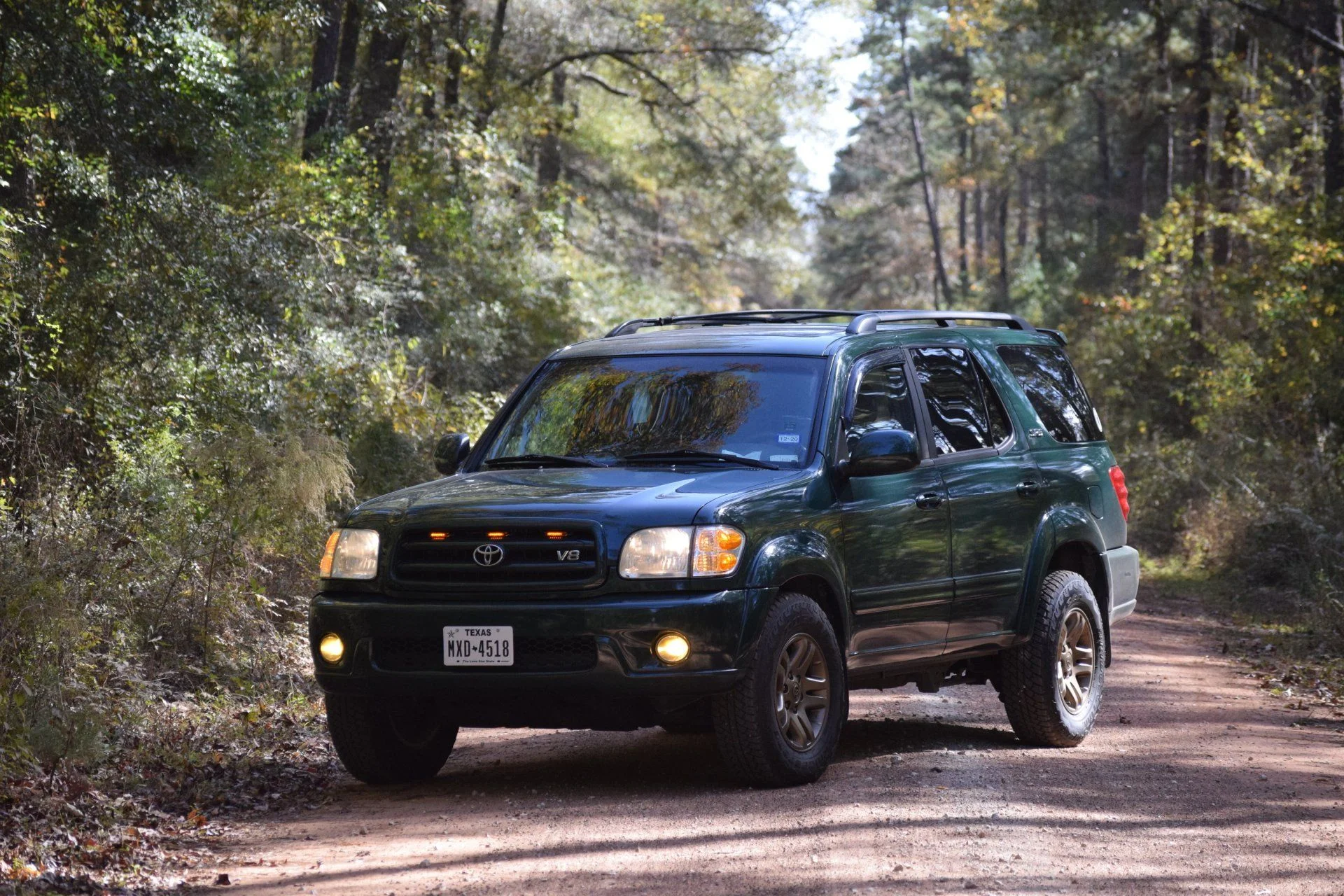 DSC_0141_50.webp
