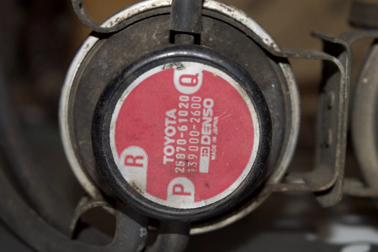 DSC_0154.webp