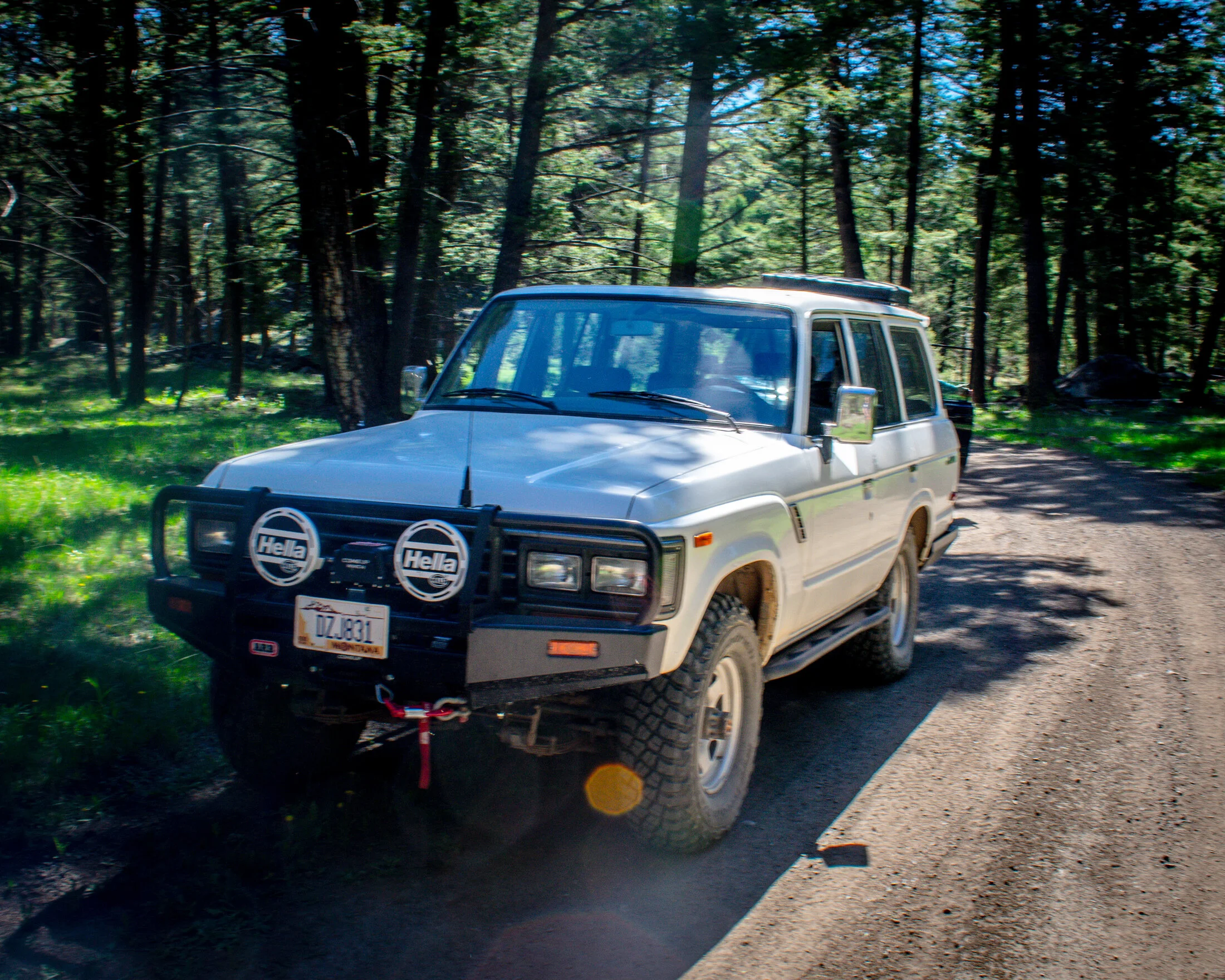 DSC_0178.webp