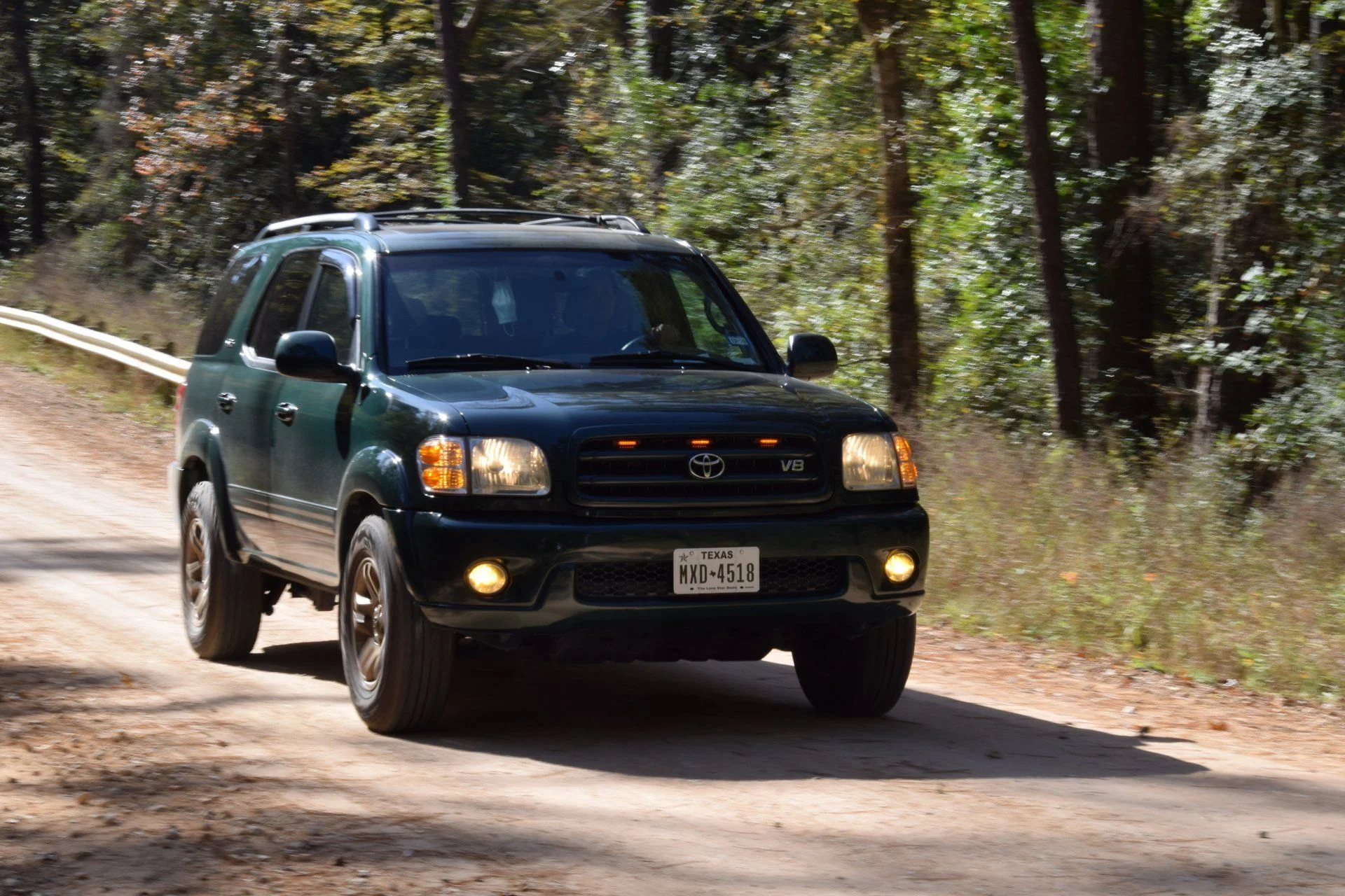 DSC_0187_50.webp