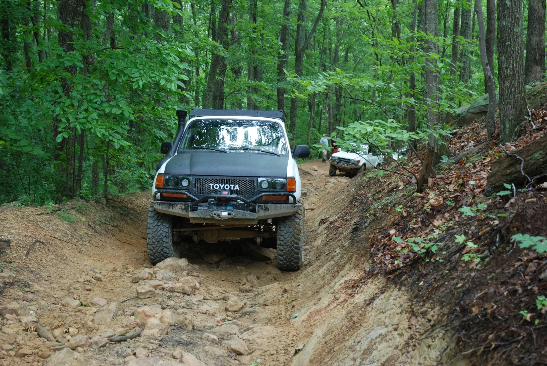 DSC_0217.webp