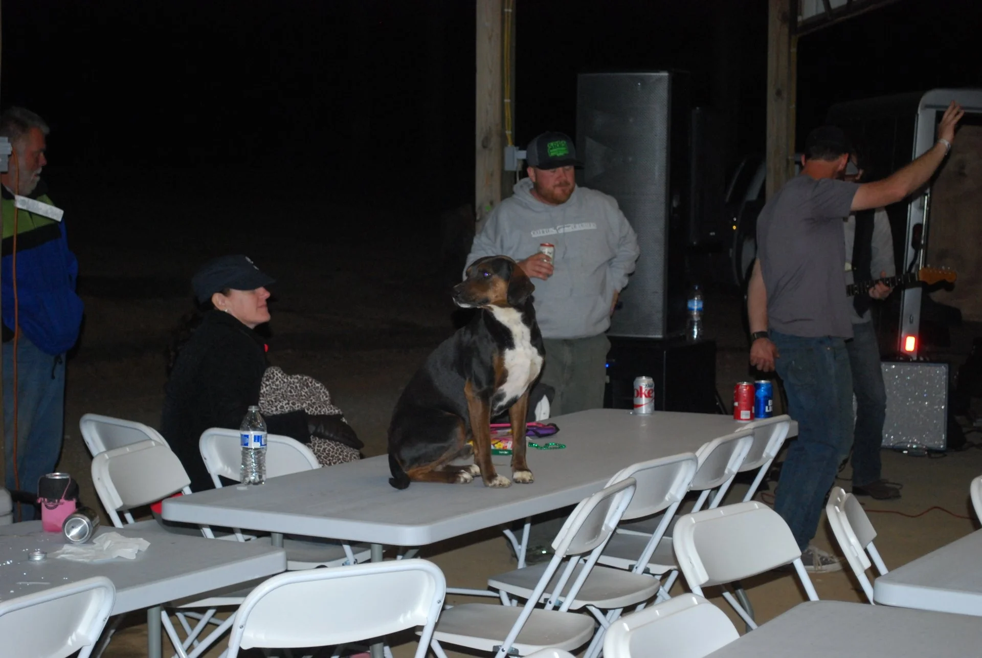DSC_0230.webp