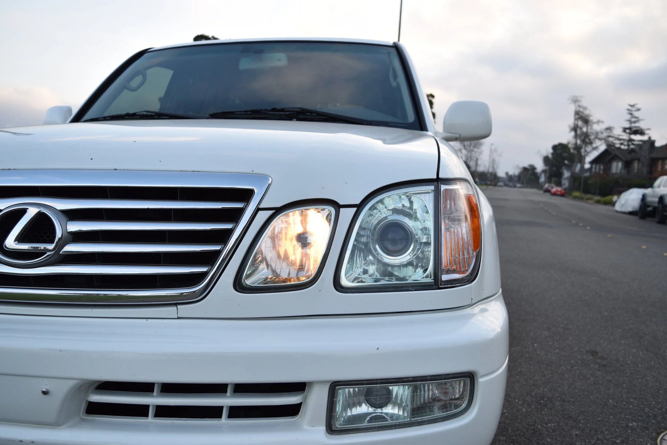DSC_0238.webp