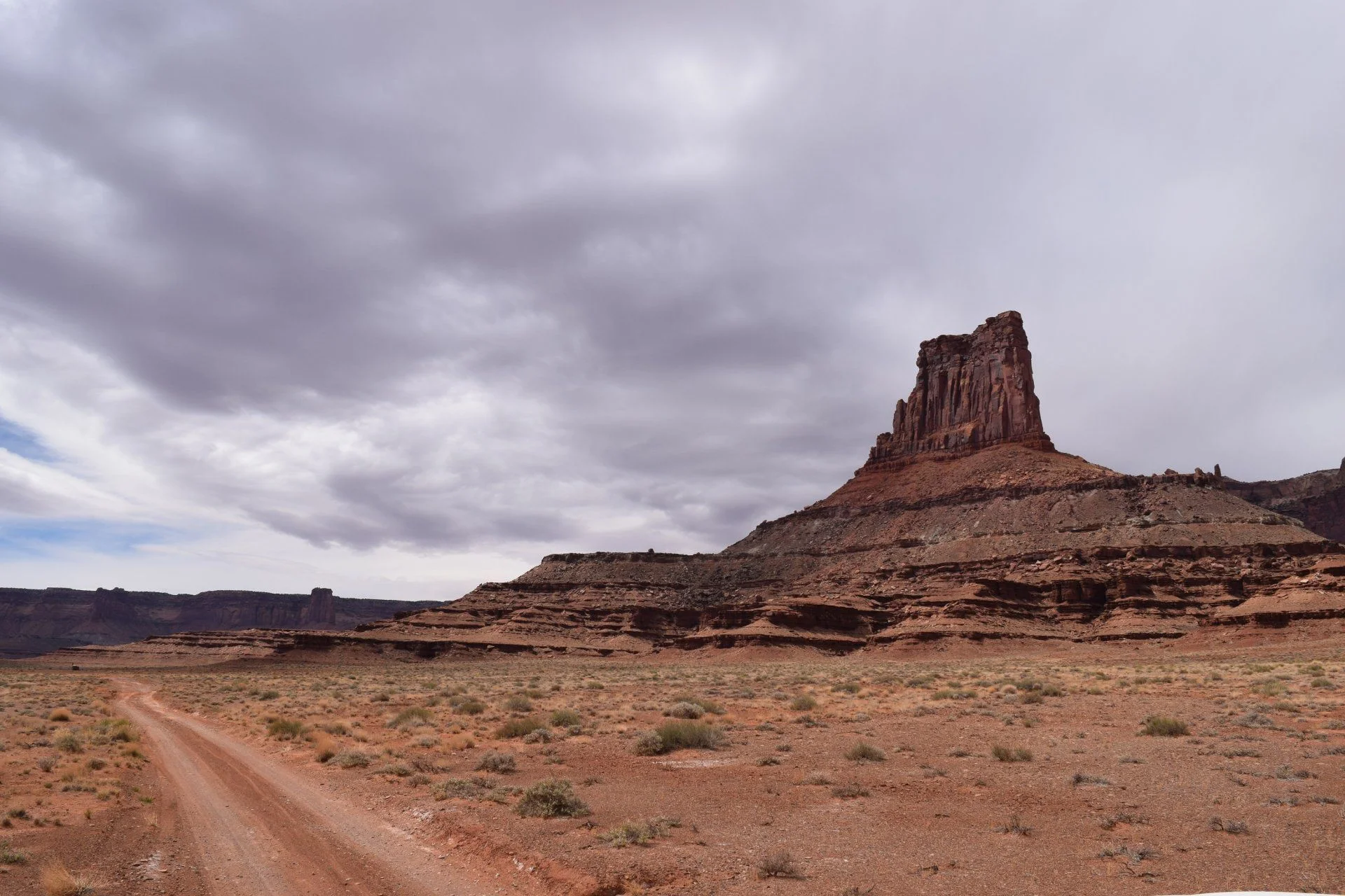 DSC_0240.webp