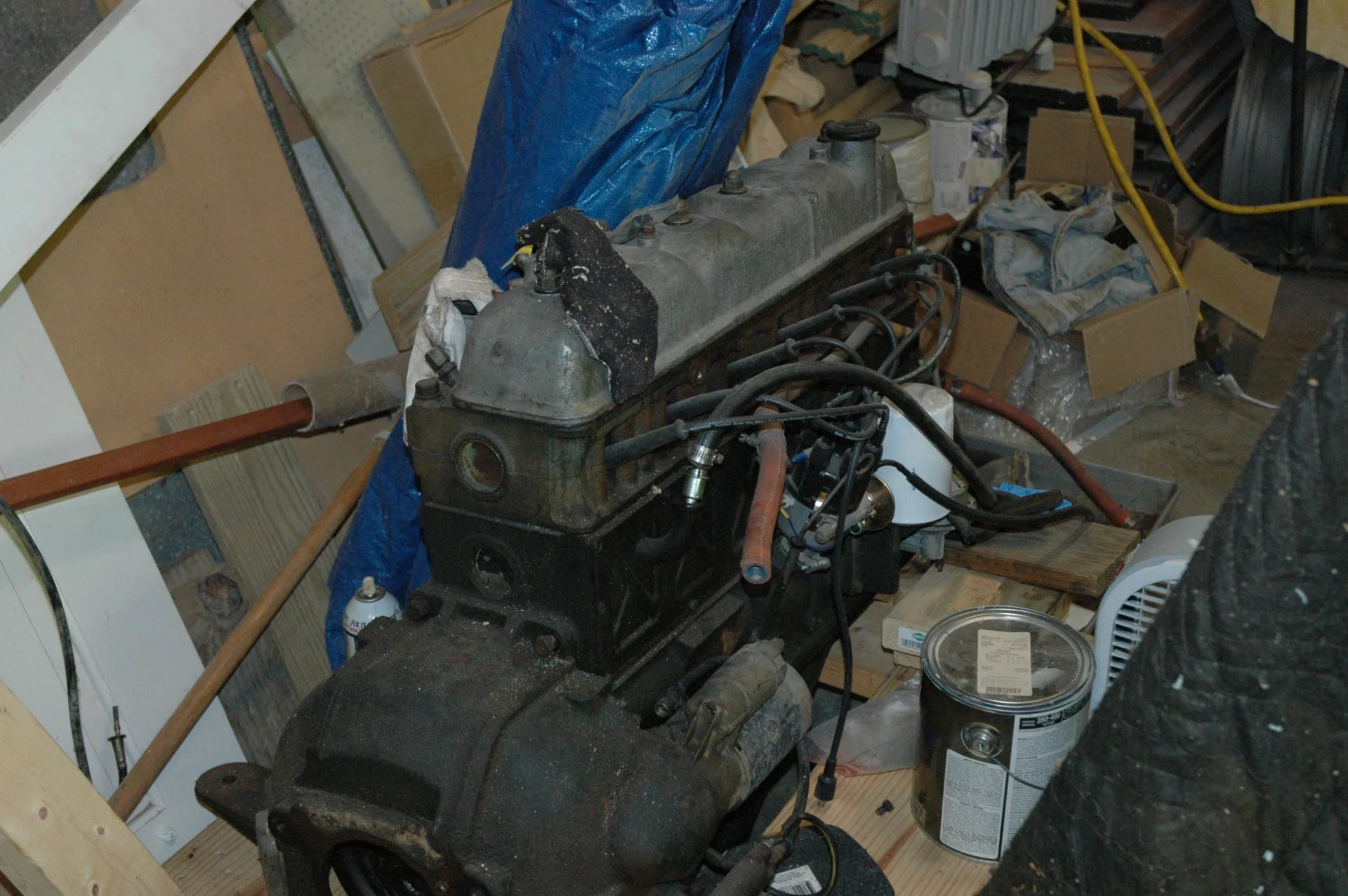 DSC_0243.webp