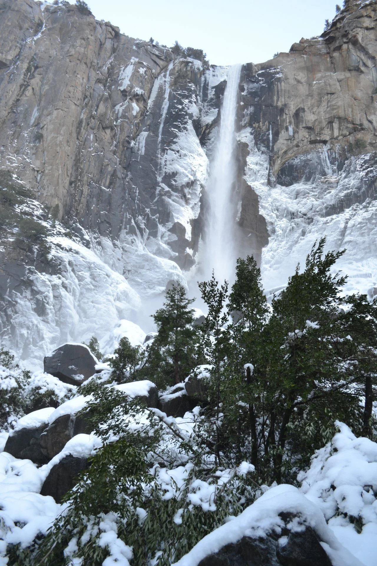 DSC_0279.webp