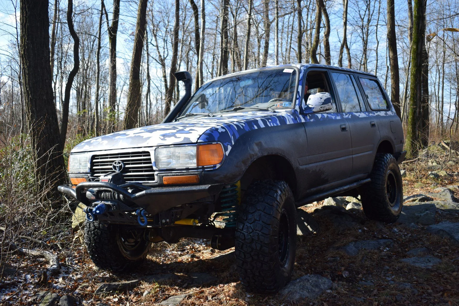 DSC_0279.webp