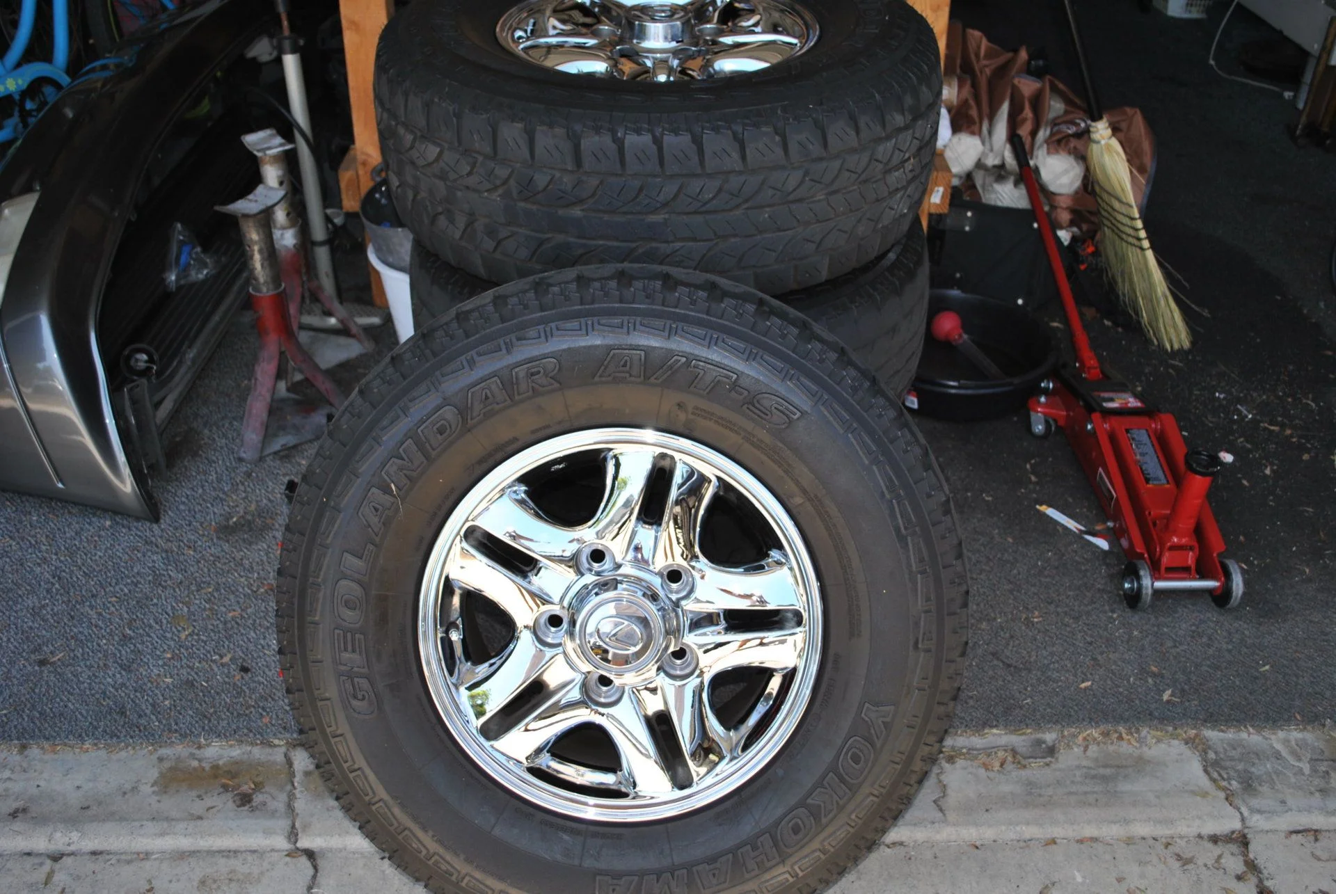 DSC_0320.webp