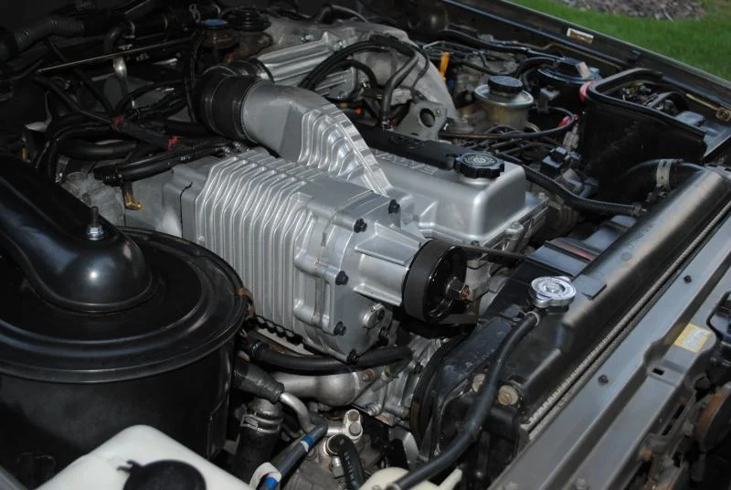 DSC_0338.webp
