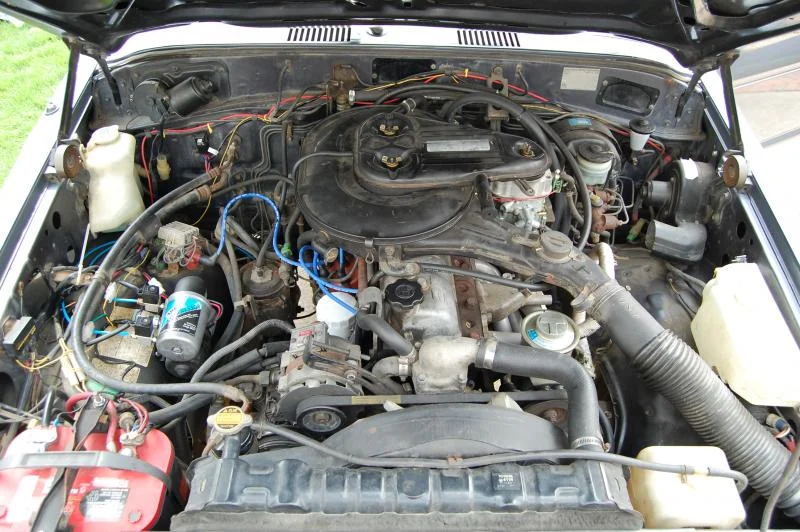 DSC_0379.JPG.webp