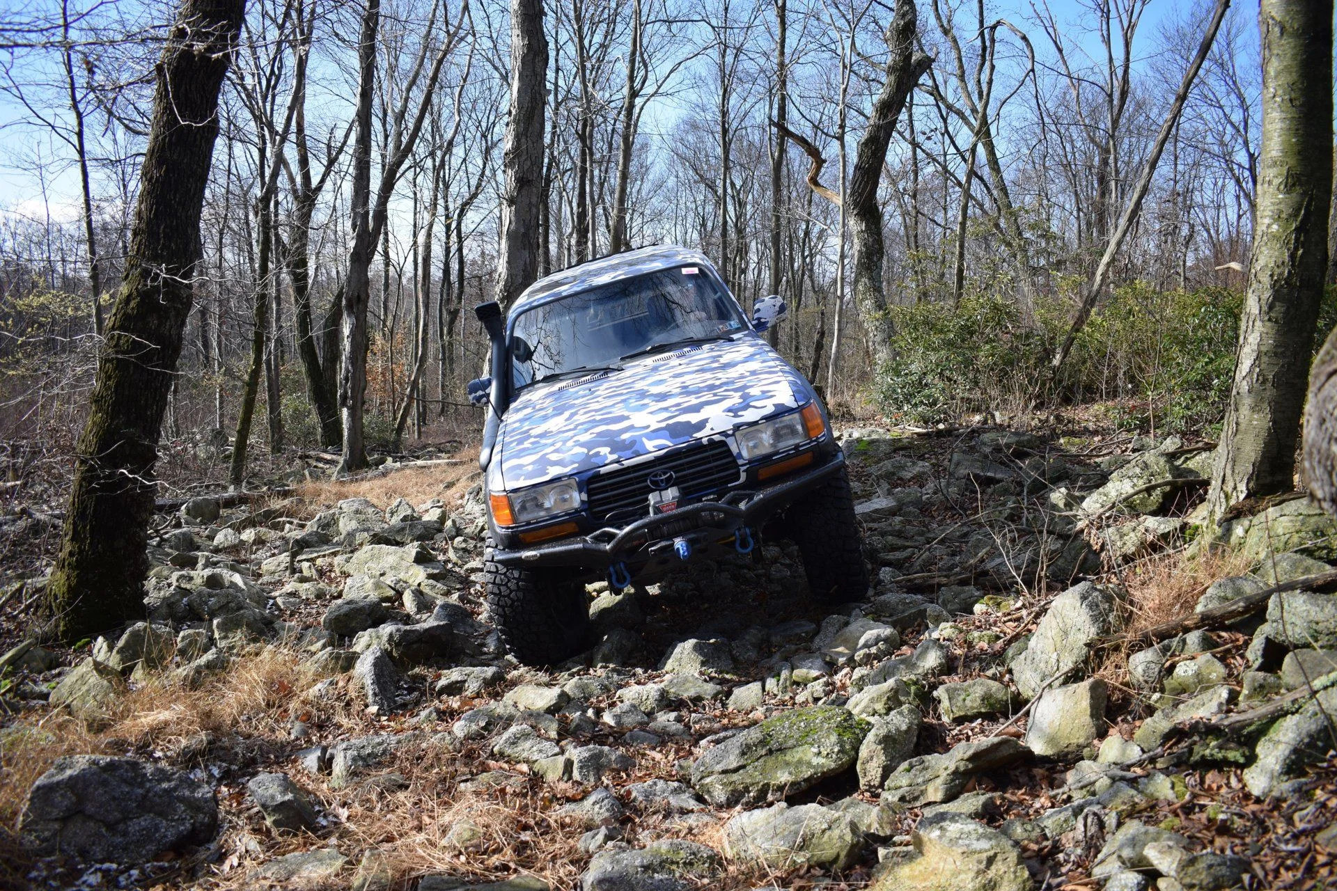 DSC_0387.webp