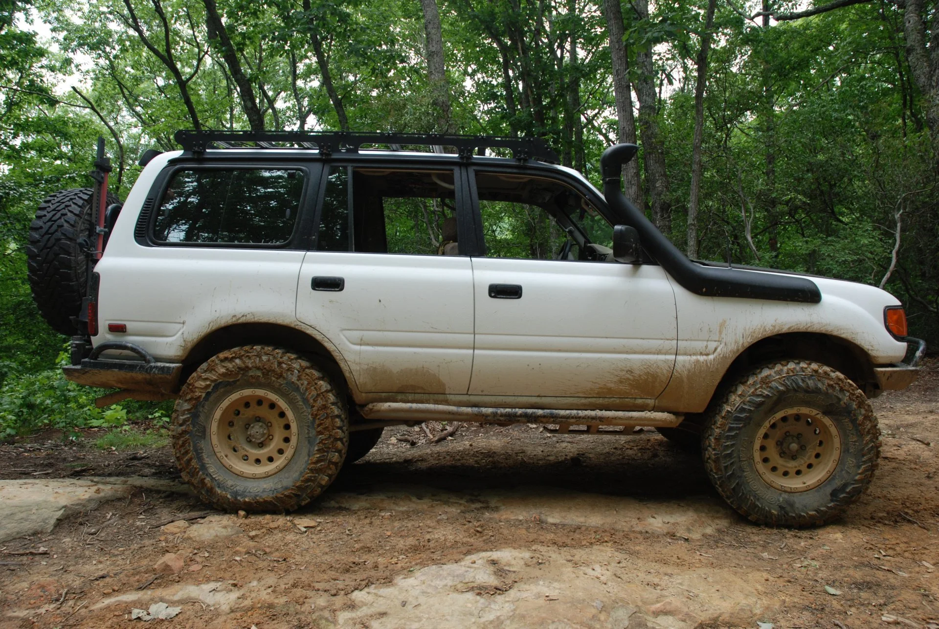 DSC_0401.webp