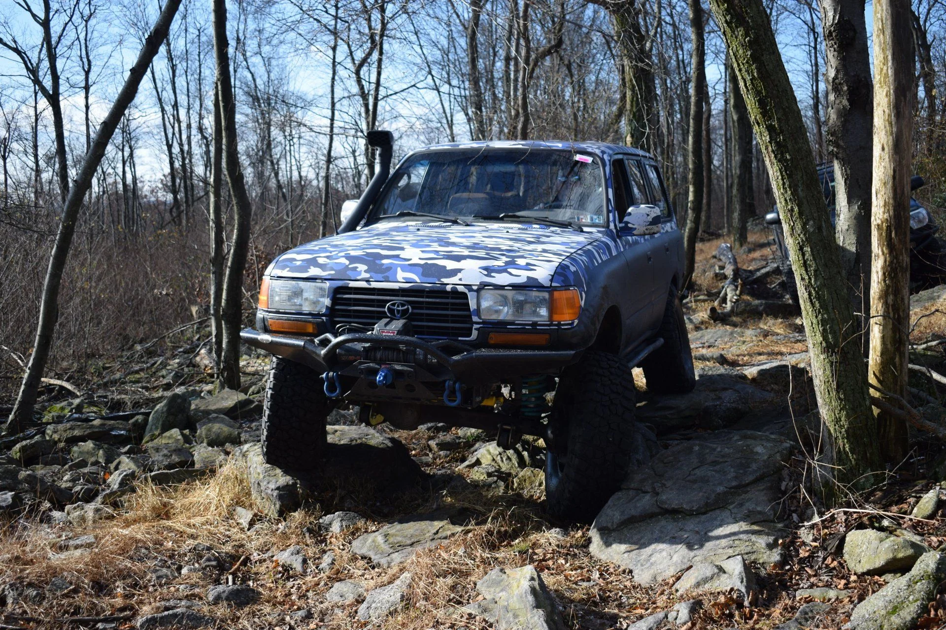 DSC_0428.webp