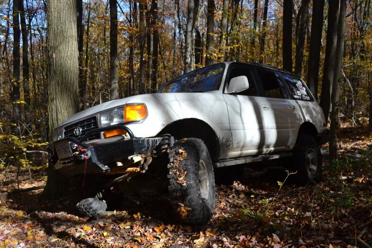 DSC_0435.webp