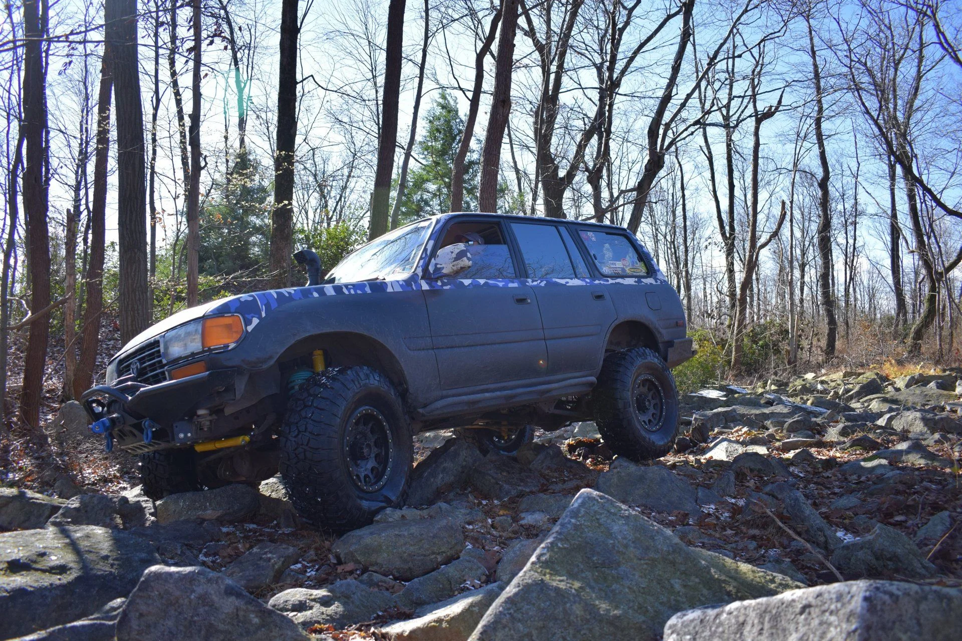 DSC_0475.webp
