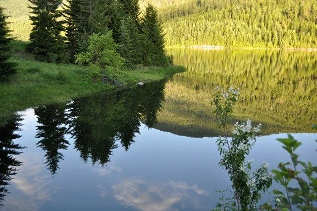 DSC_0527a.jpg