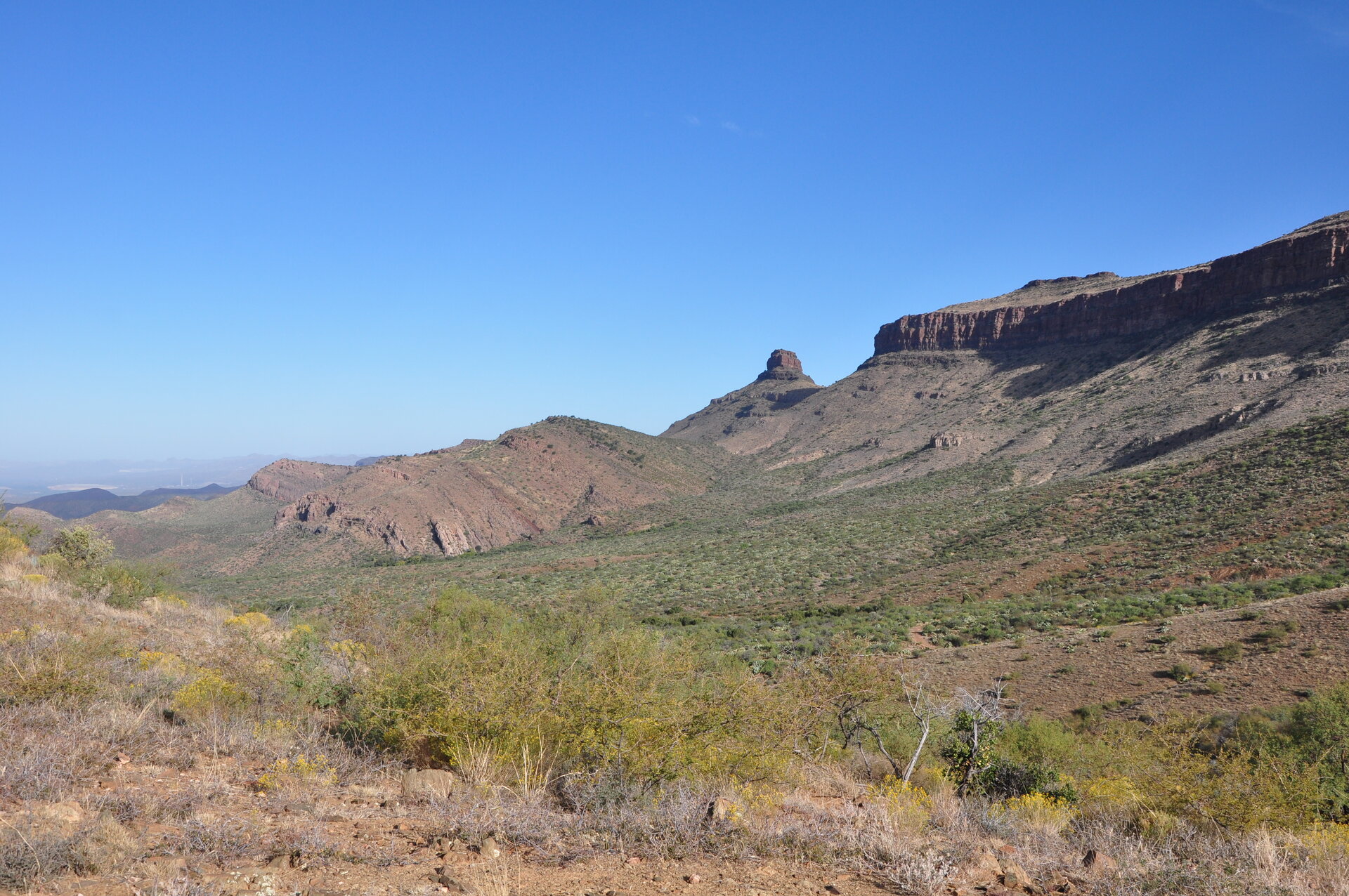 DSC_0545.JPG