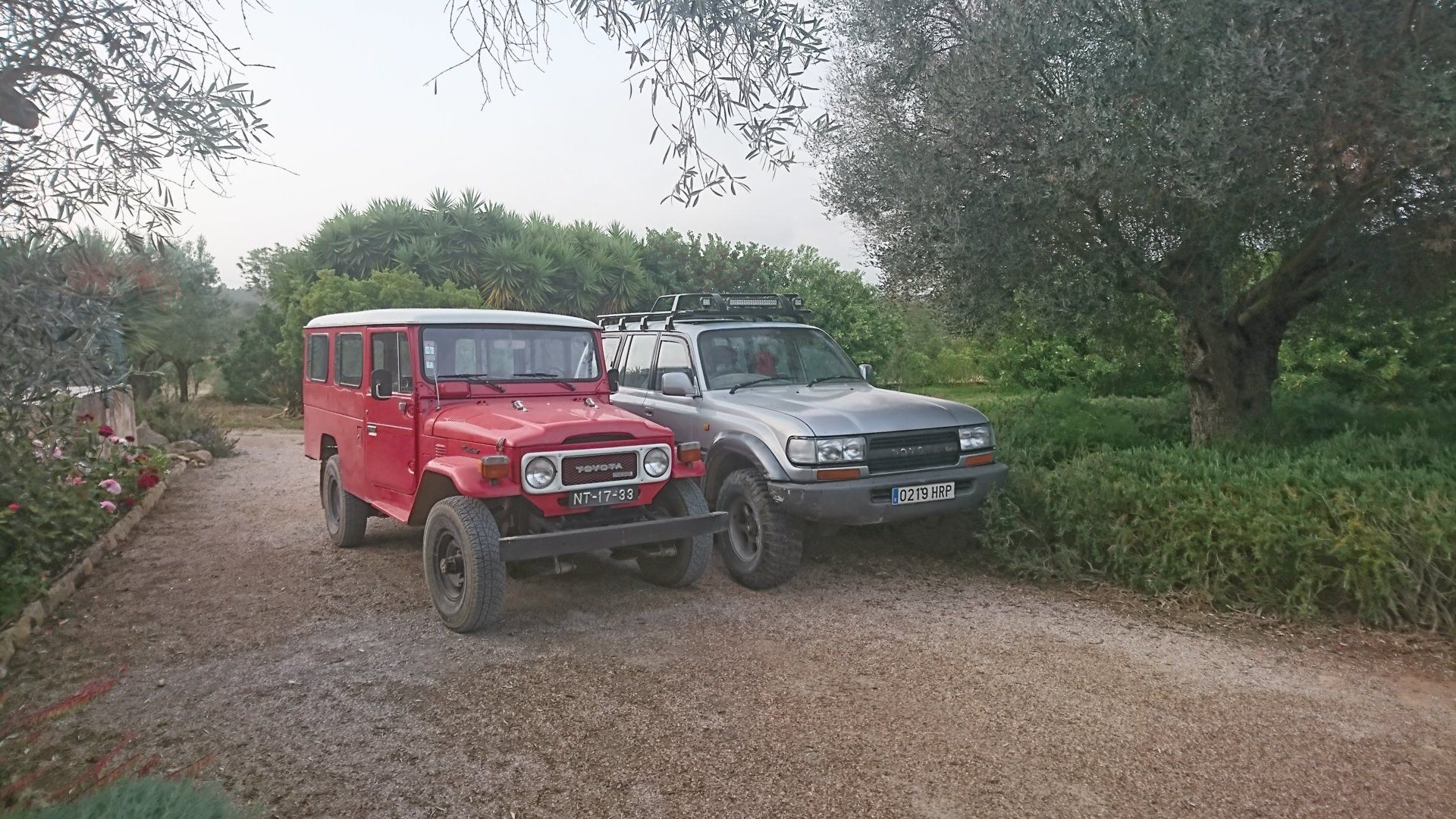 DSC_0565.JPG
