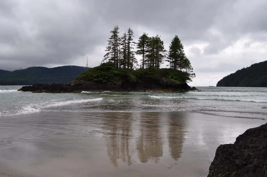 DSC_0575a.JPG