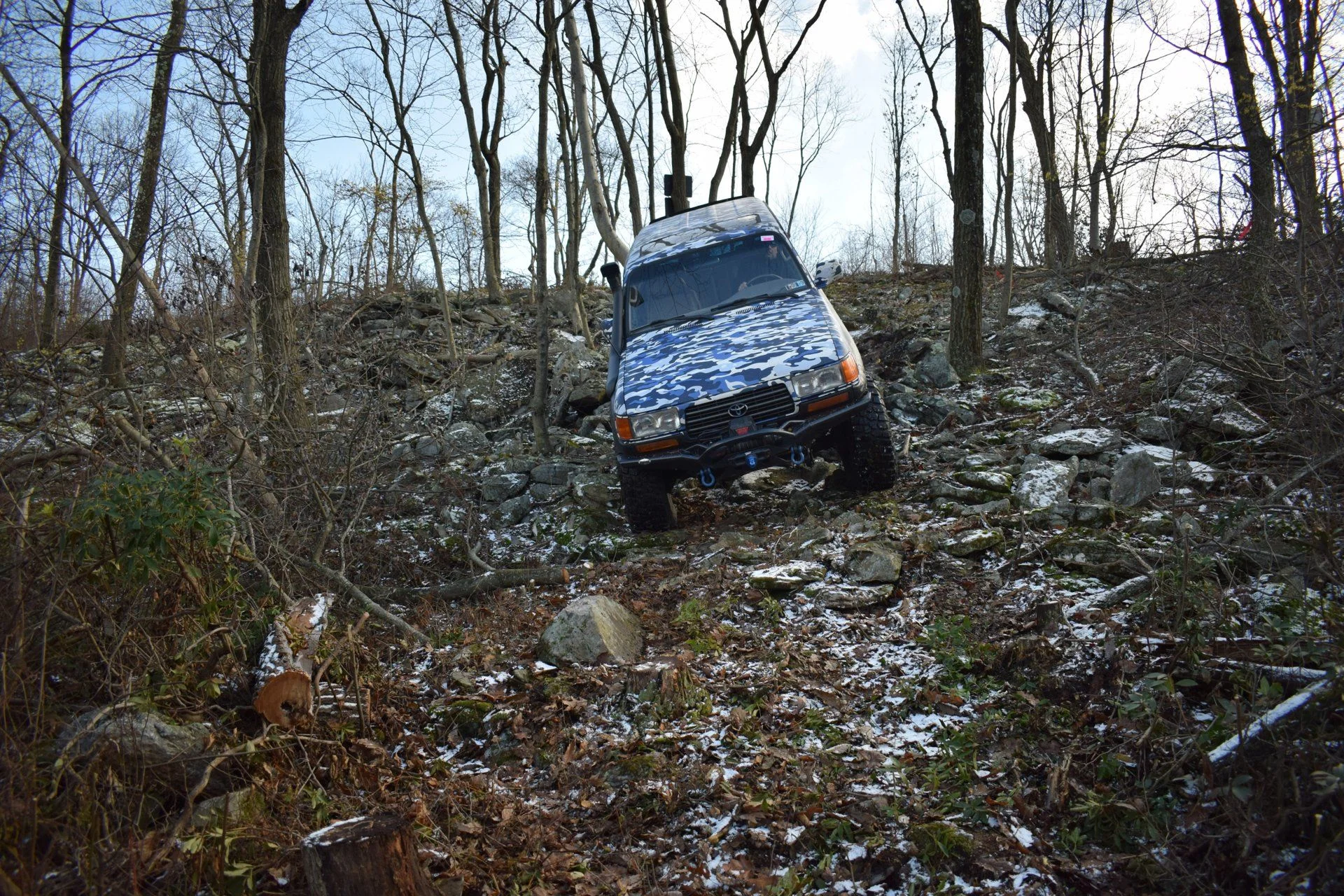 DSC_0584.webp