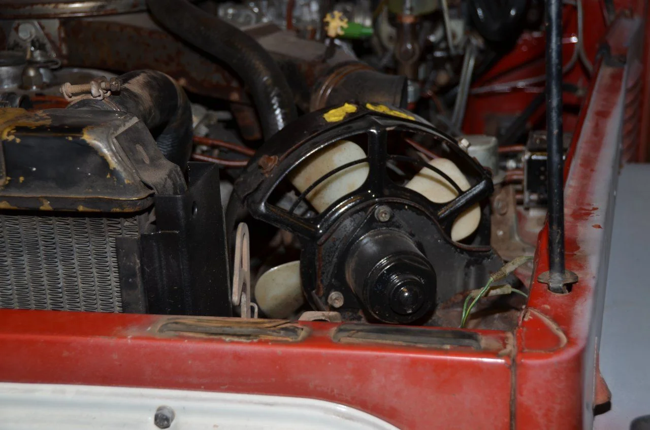 DSC_0674.webp