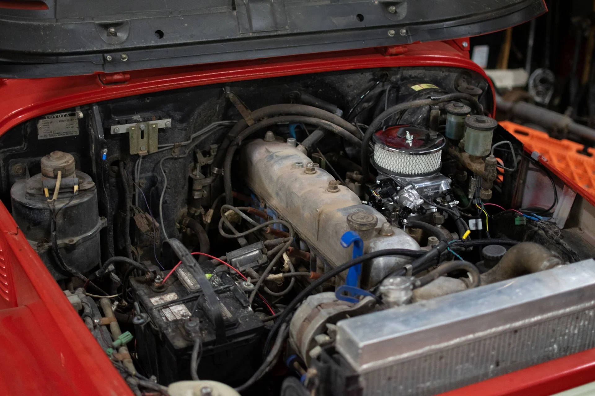 DSC_0774.webp