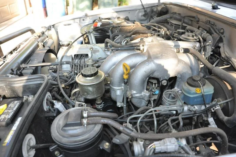DSC_0835.webp