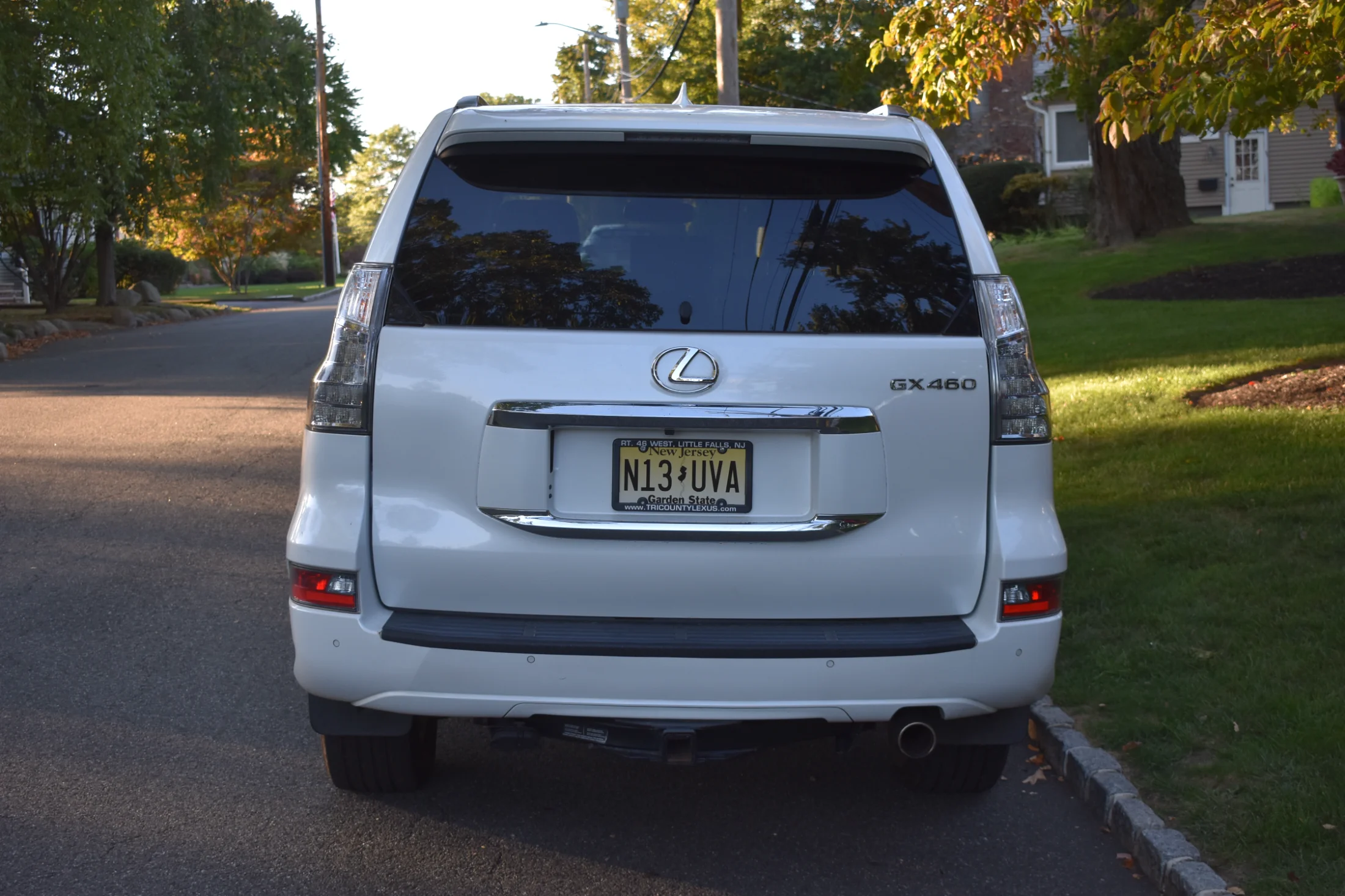 DSC_0941.webp