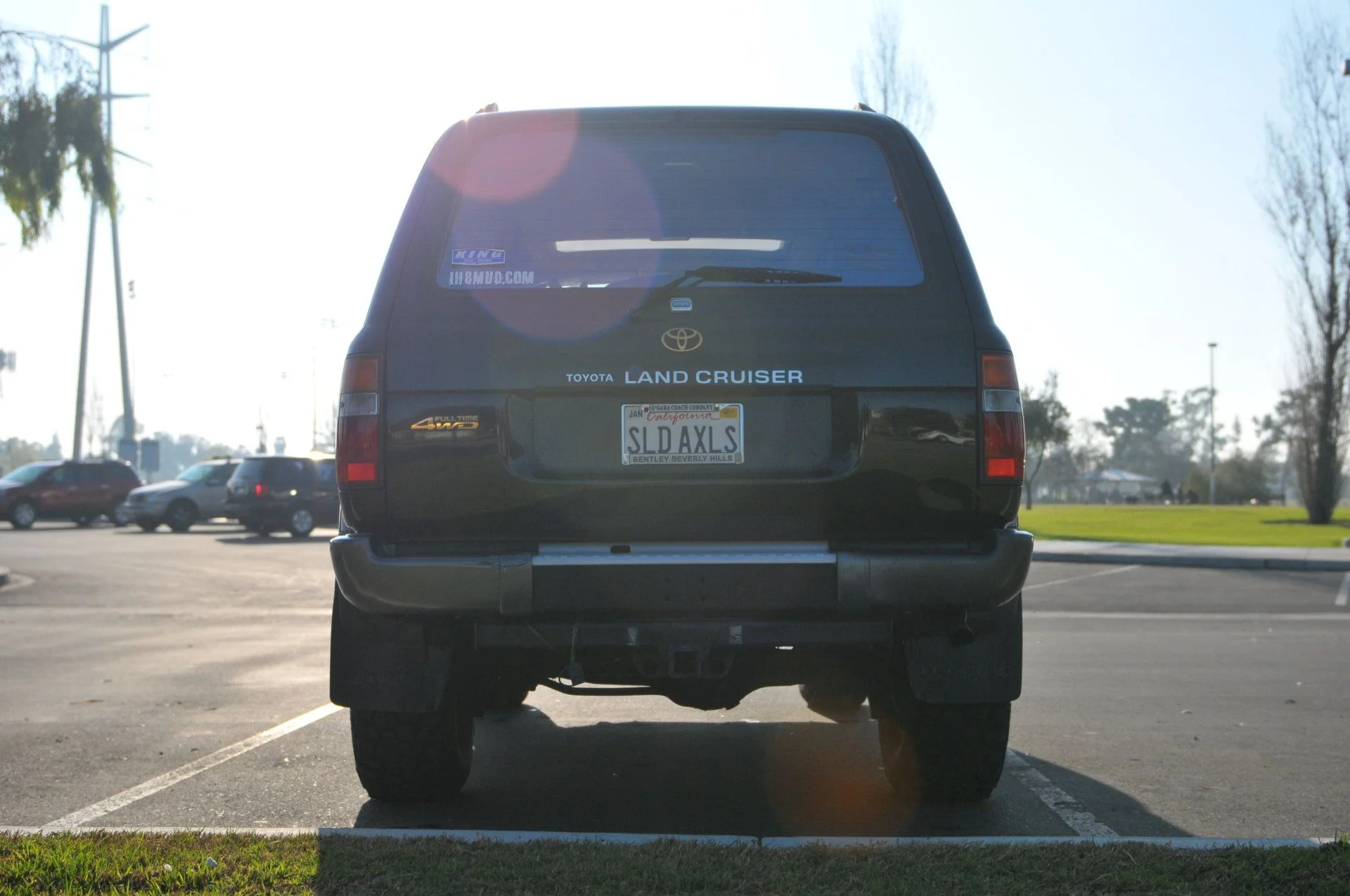 DSC_1060.webp