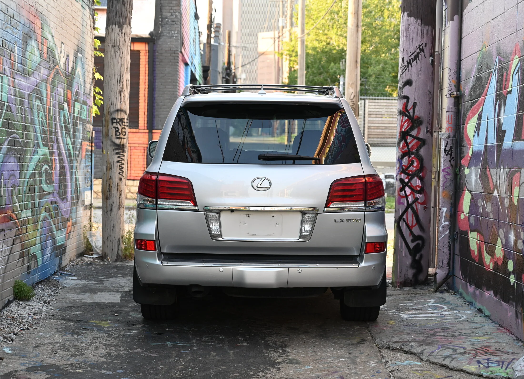 DSC_2040.webp