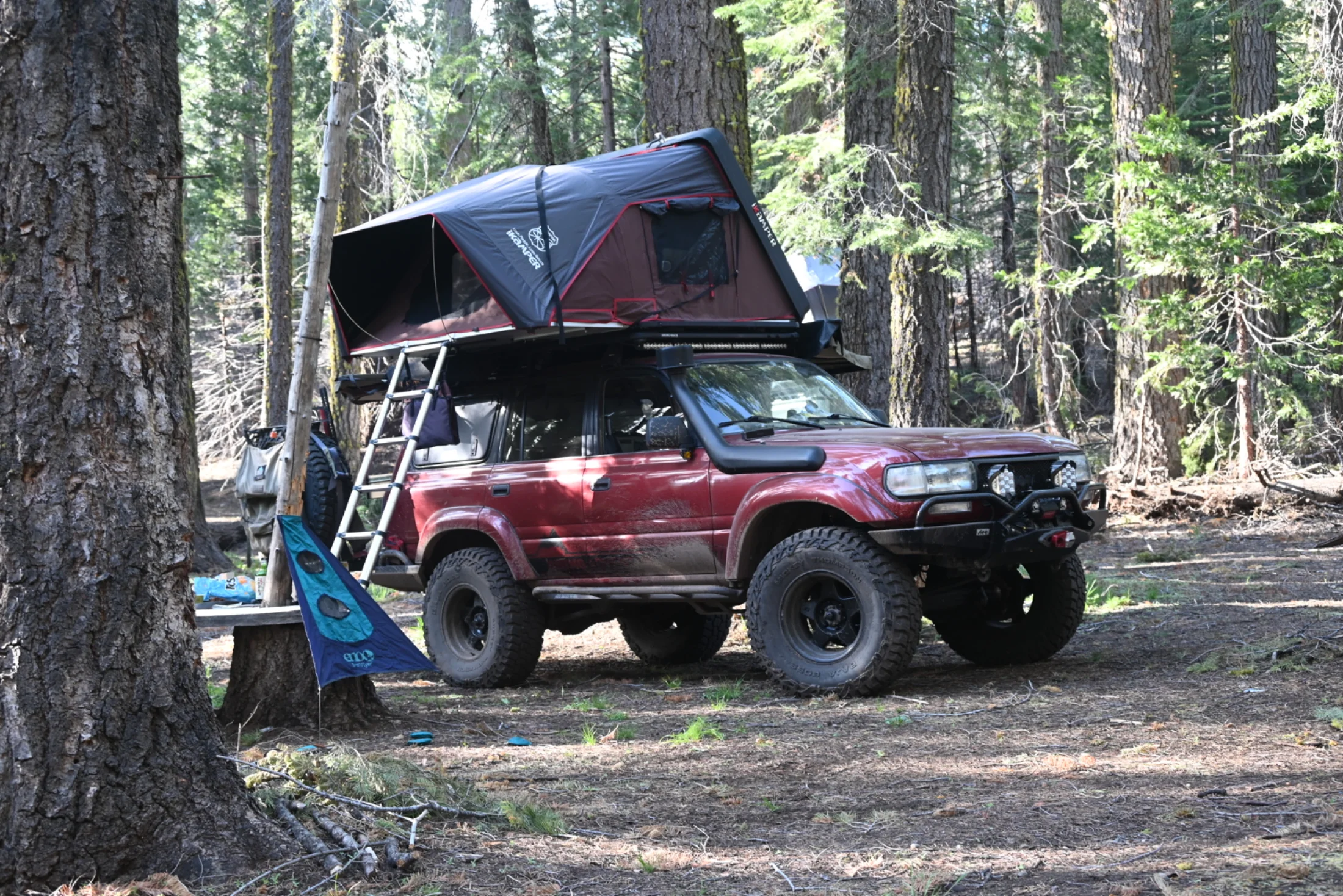 DSC_2478.webp