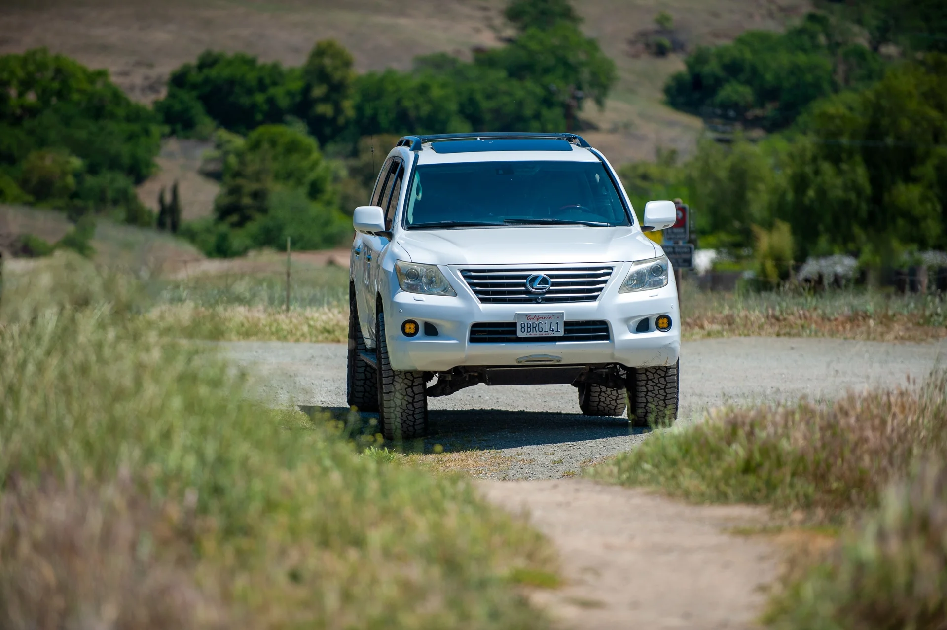 DSC_3517-Edit.jpg