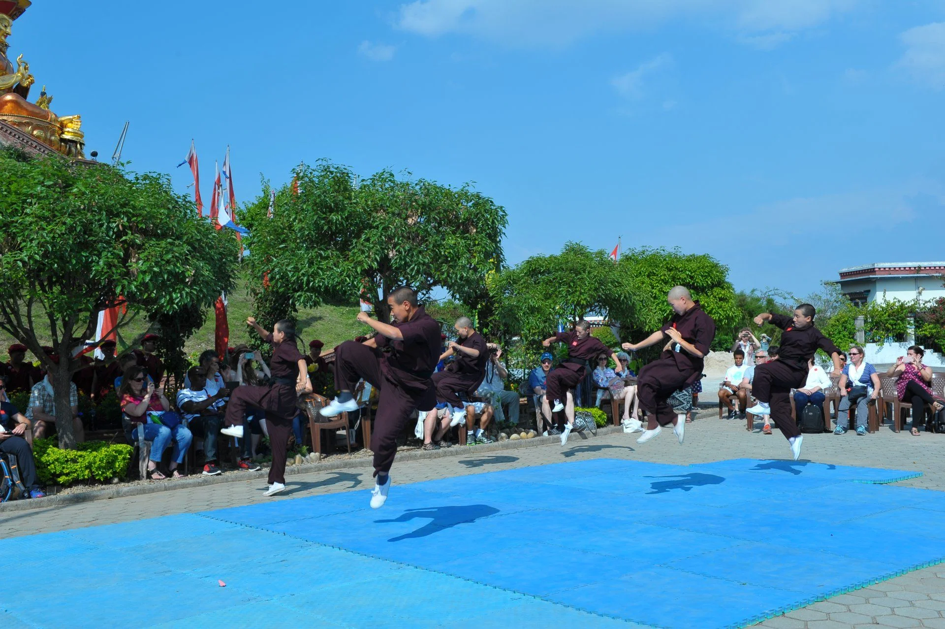 DSC_3848.webp
