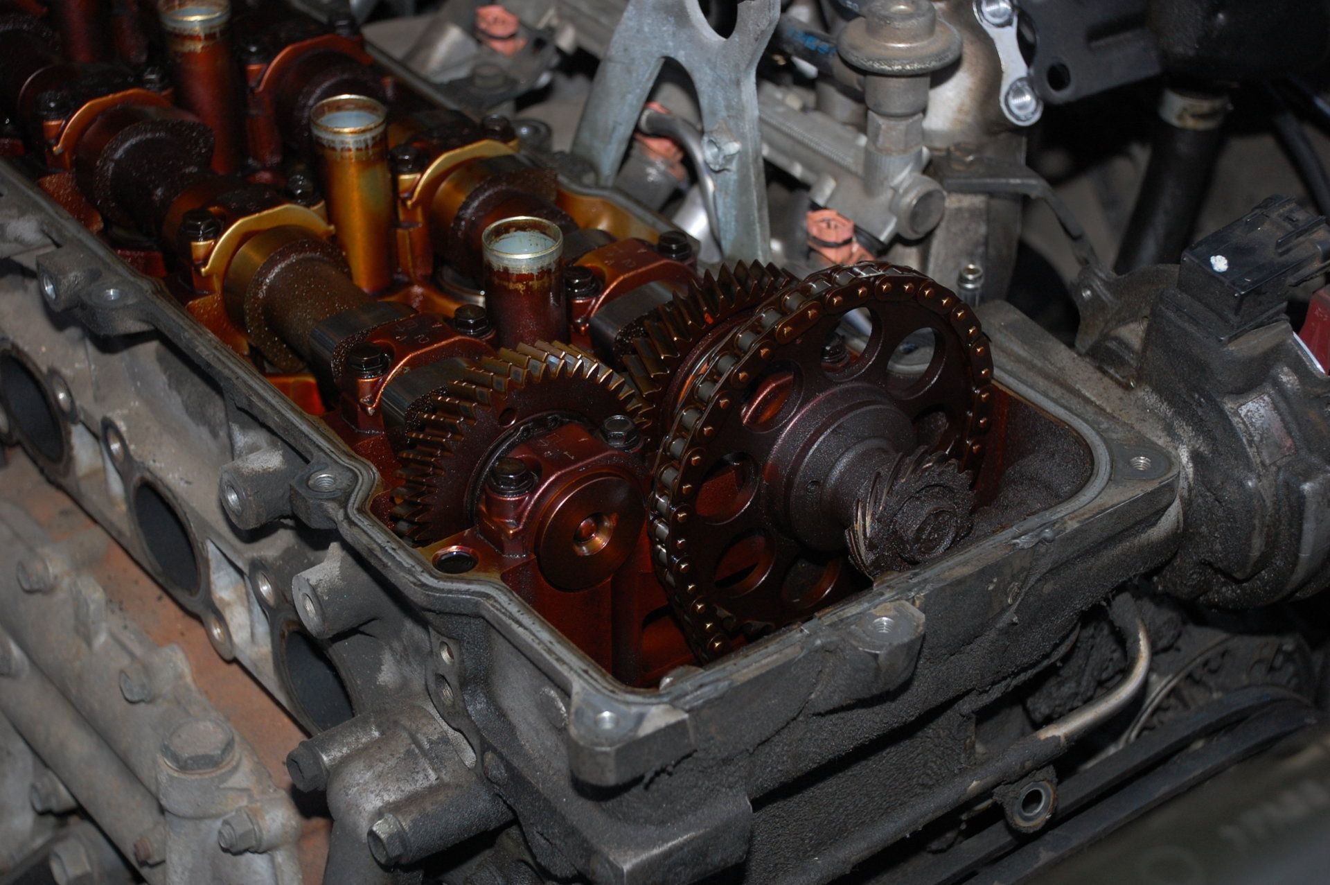 DSC_3978.JPG