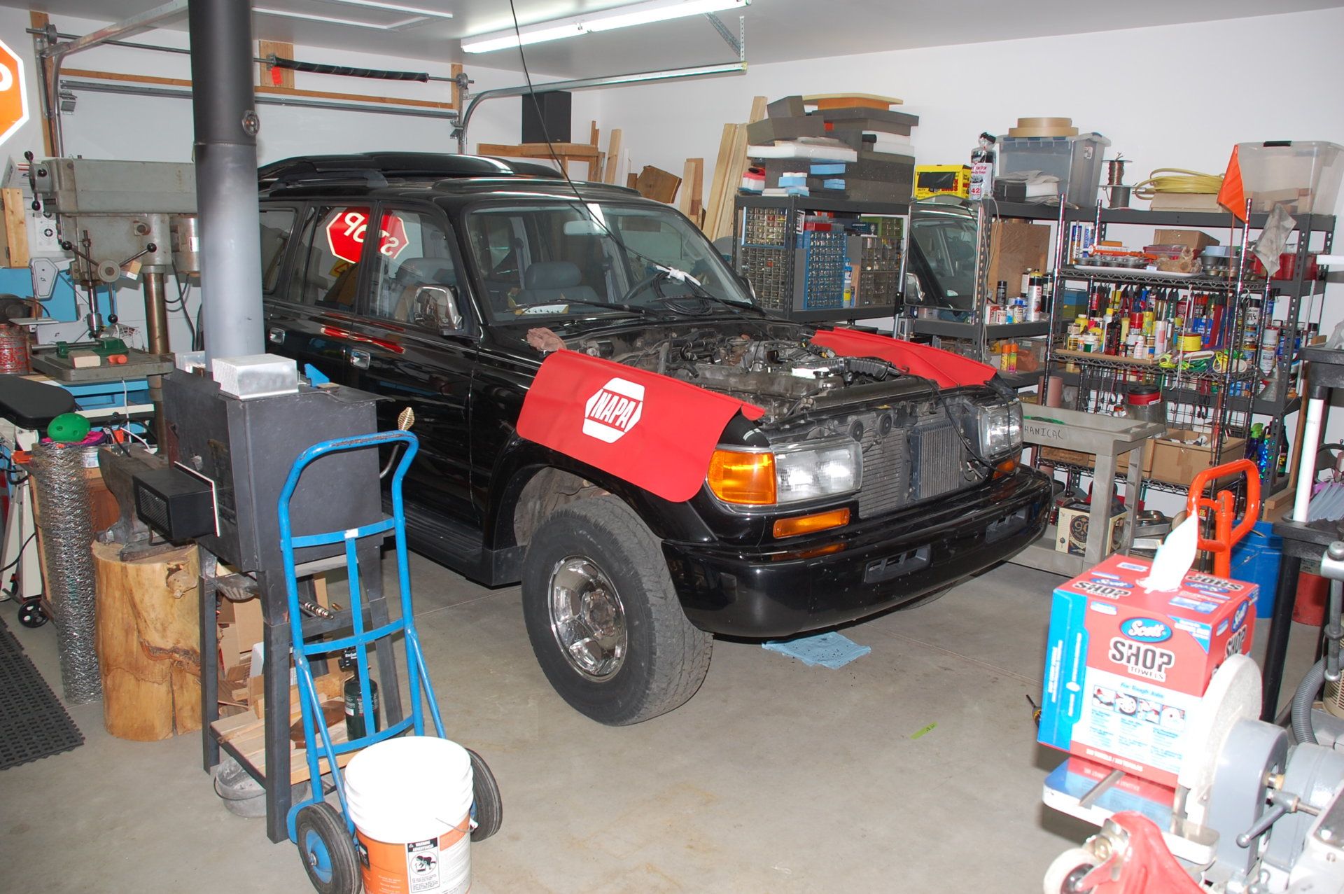 DSC_4004.JPG
