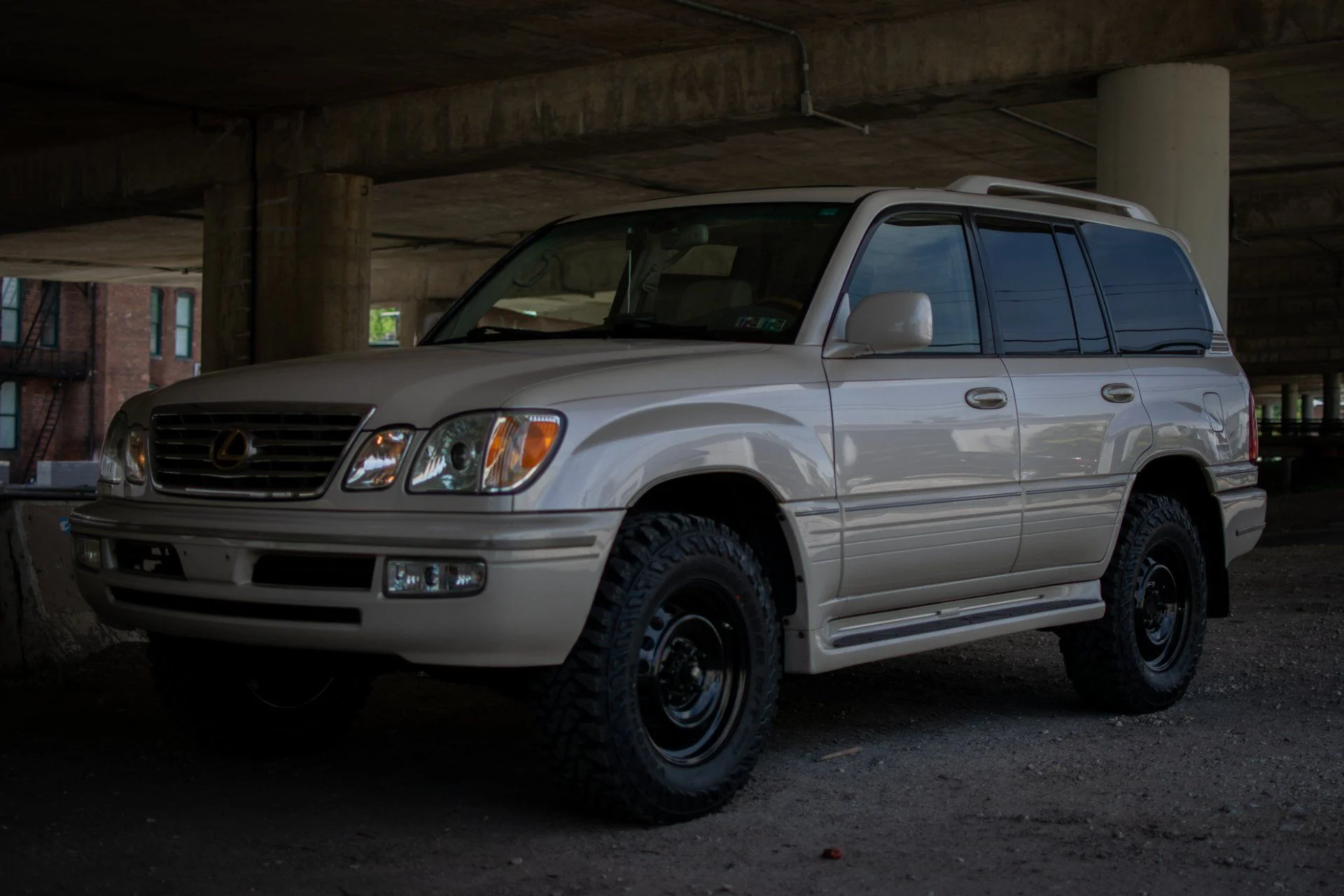 DSC_4954.webp