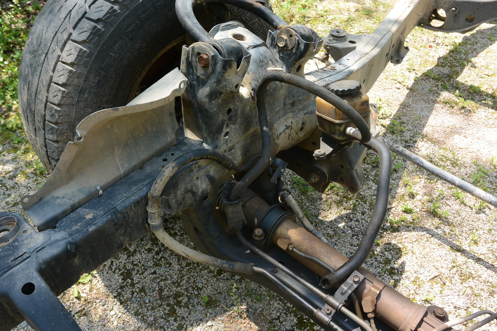 DSC_5533.webp