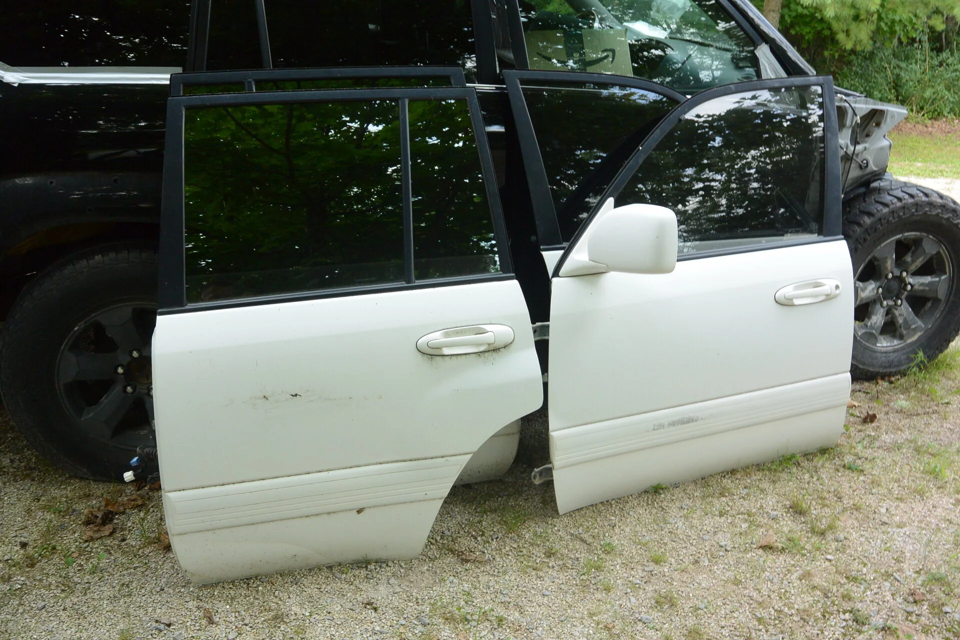 DSC_5553.webp