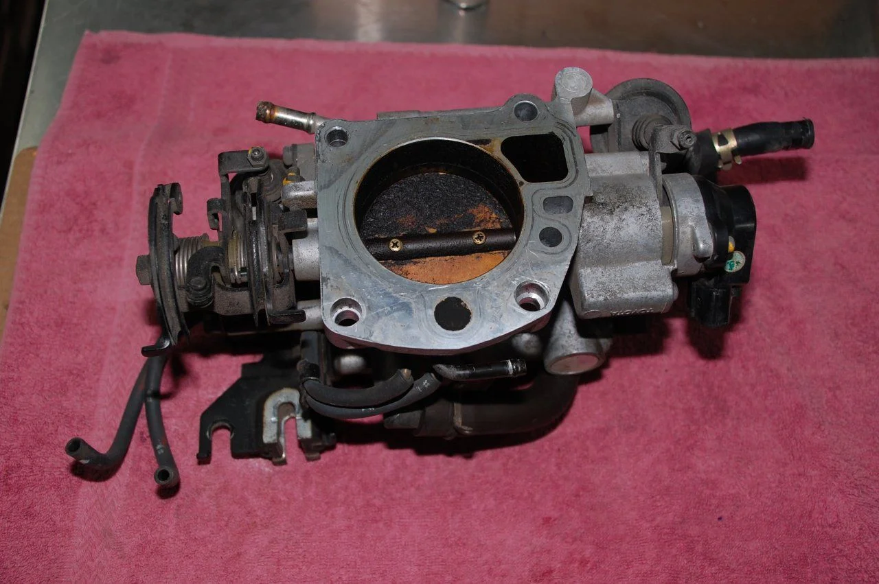 DSC_5965.webp