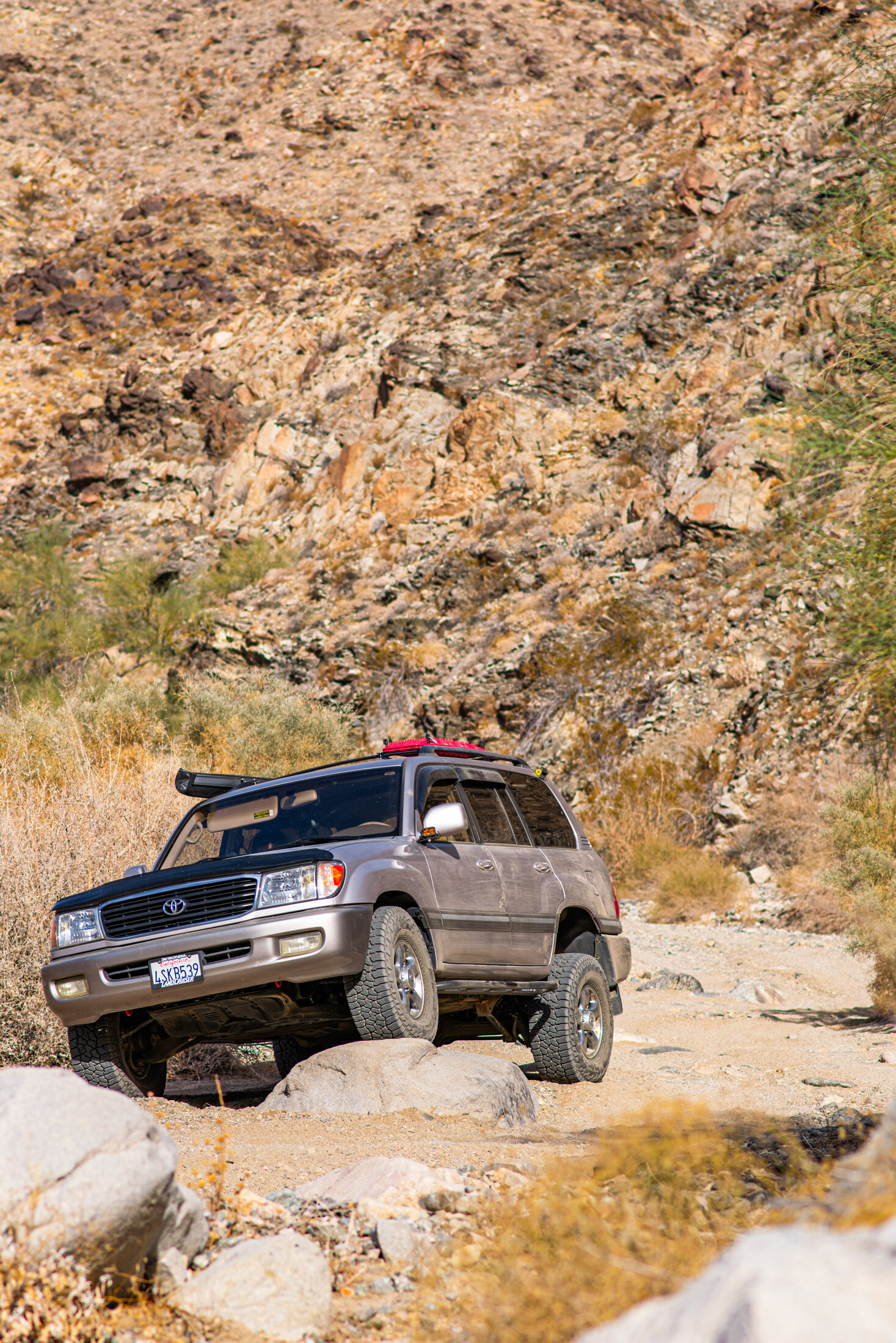 DSC_6844.jpg