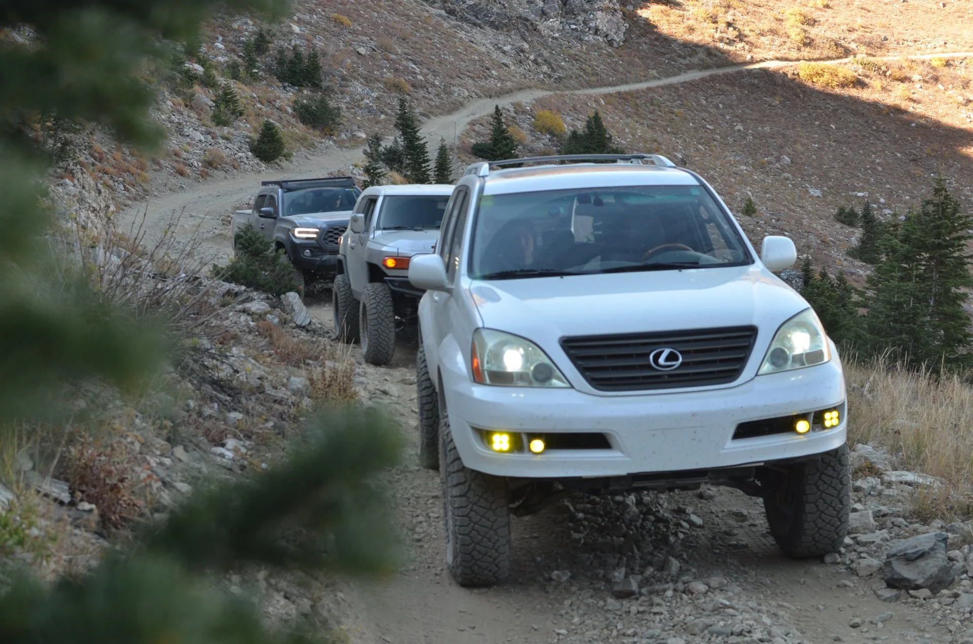 DSC_7185.webp